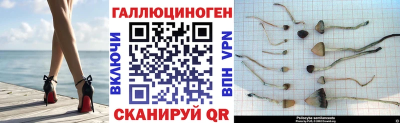 mega рабочий сайт  Киселёвск  Псилоцибиновые грибы прущие грибы 