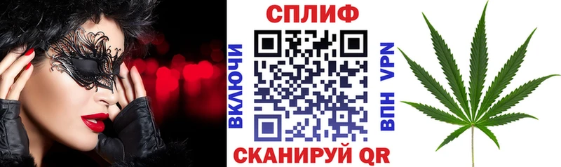 Бошки марихуана THC 21%  Киселёвск 